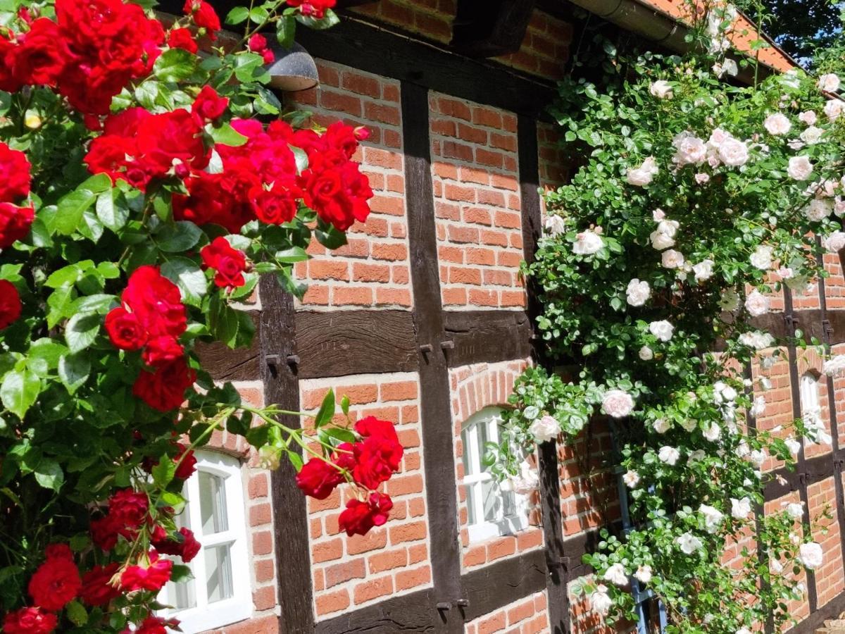 Gaestehaus Am Kattensteert Borchel 외부 사진