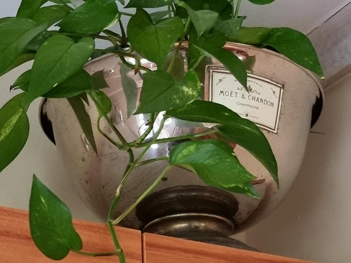 Gaestehaus Am Kattensteert Borchel 외부 사진
